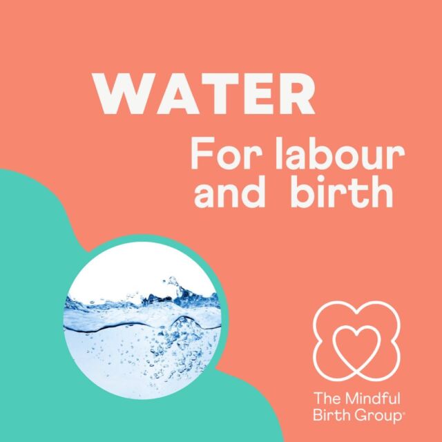 ‘Water 💧 for labour and birth’ is one of our most popular blog posts. 

It covers:
💧 What you might use water for and when
💧 Can you use water if your labour is being induced (in any way)
💧 The benefits and considerations
💧 What you might wear (or not wear!)
💧 What happens if you do a poo?
💧 Hiring/buying pools
And other common FAQs

Head to the link in the bio or our stories to read the blog post 🧡