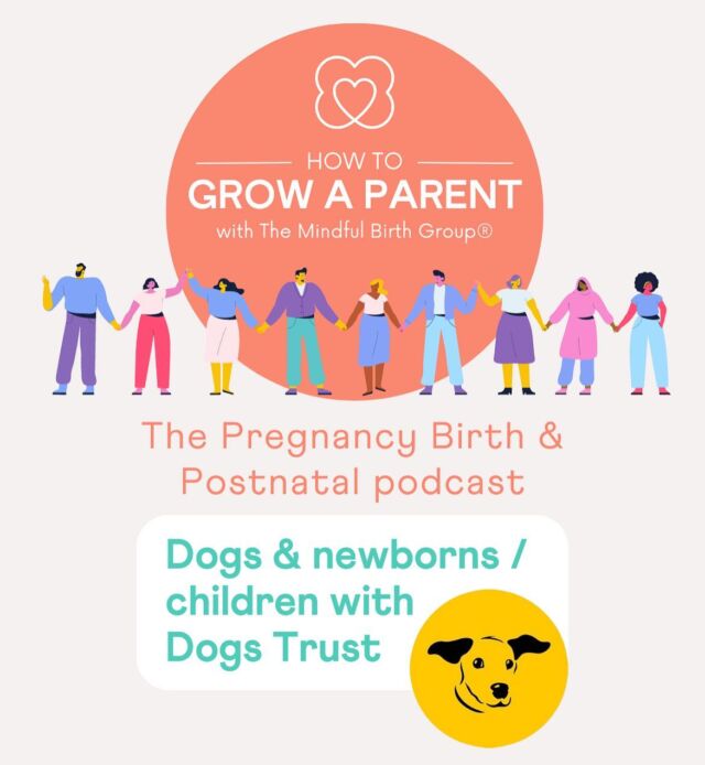 This week on the 🟠 How to Grow a Parent 🟠 podcast Emiliana talks to Maria Kyle, an Intervention Development Manager at @dogstrust .

Many families either already have dogs (or fur babies!) when they’re welcoming a new (human!) baby into their home, or they decide to get them for company when their little one is older. We cover what you need to know to keep everyone safe and happy.

The topics we cover on this episode include:

🐶 Preparing for introducing your newborn to your dog during your pregnancy
🐶 Keeping your dog and toddlers and older children safe and happy around each other
🐶 Playdates with other children who may not be used to dogs
🐶 The importance of seeking reputable advice and guidance

Listen to this episode on all of the main podcasting platforms 🎙️ 🎧 

———-

Would you like more support on every key aspect of transitioning into parenthood? We’ve got you covered throughout pregnancy, in preparation for birth, postnatal recovery and beyond 🧡

Head to the link in the bio to find your course today 🧡