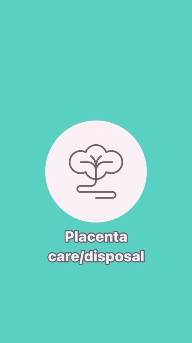 DAY 3️⃣ / 7️⃣5️⃣ Days to Get Ready for Birth series! Looking for expert support during your pregnancy? Subscribe to the @pregnahub or book a @mindfulnatal course with us 🧡

🌟 Placenta Care / Disposal 🌟

Your placenta is an organ that you grow with your baby. It attaches itself to the wall of your uterus and keeps your baby alive and growing by filtering nutrients from what you eat and drink, passing them on to baby through the umbilical cord. It also provides oxygen to baby and filters waste from their blood.

What happens with your placenta post-birth is completely up to you. Head to the link in our bio to read about 10 things you can do with your placenta 🧡🩵

https://www.themindfulbirthgroup.com/parents/blog/10-things-you-can-do-with-your-placenta/

(Link in bio)