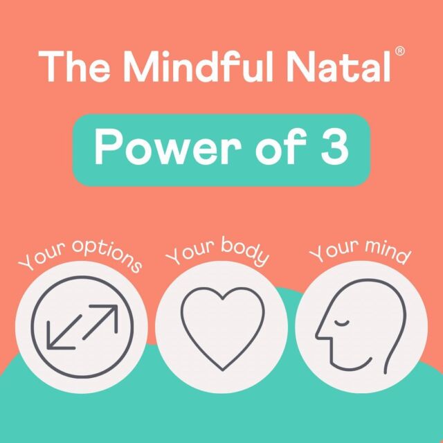 Mindful Natal® courses are centred around 3 key pillars: 

❔Your options
🧡 Your body
🧠 Your mind

By covering these 3 areas for ALL birth scenarios with us, you can be sure to go into your birthing experience with calm and confidence ✨

#mindfulnatal #antenatal #hypnobirthing #postnatal

————-

Interested in training to teach the courses? Head to @mindful_natal_academy to find out more or send us a DM for more information 🩵