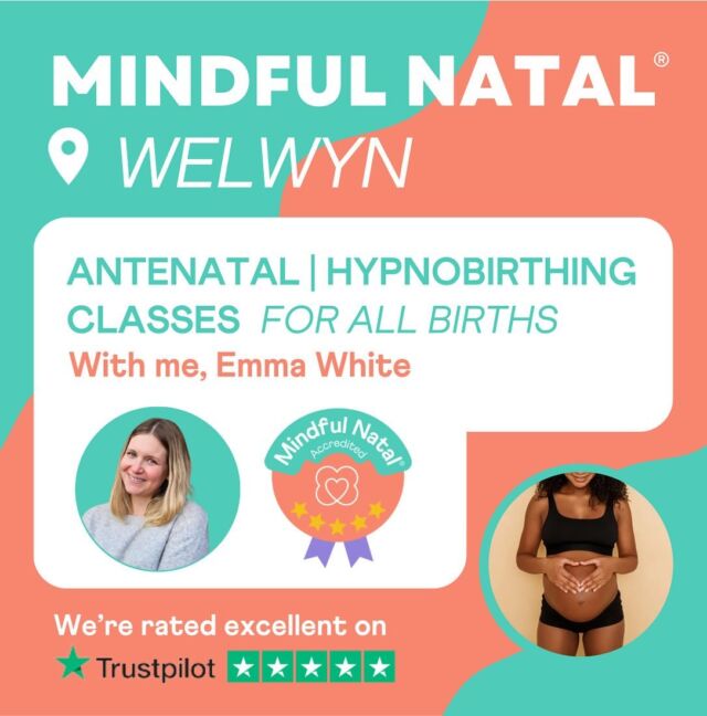 Emma @mindfulnatal_welwyn has just launched this new location for group courses! 😍

Emma is deeply passionate about supporting expectant families to have a calm and confident birth experience, however they birth their baby/babies by empowering them with expert knowledge and caring unbiased support.

Check out Emma’s profile @mindfulnatal_welwyn and please share it with any expectant families / fellow relevant business’ you know in the Welwyn area! 

————

Interested in training to teacher in your local area and be supported in the development of your business? Check out @mindful_natal_academy or send us a DM for more information 🧡

#mindfulnatal #welwynhypnobirthing #welwynantenatal #welwyngardencitymums #welwynvillage #welwyngardencity #welwyndads #welwynparents